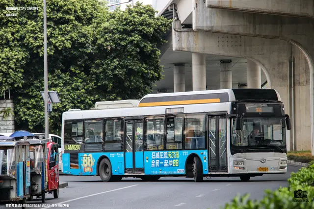 800BUS