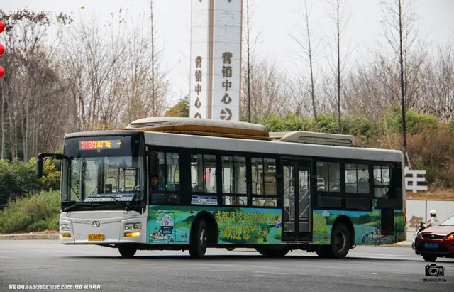 800BUS