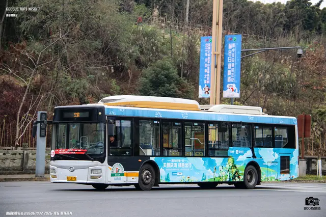 800BUS