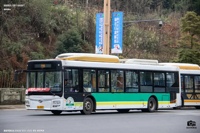 800BUS