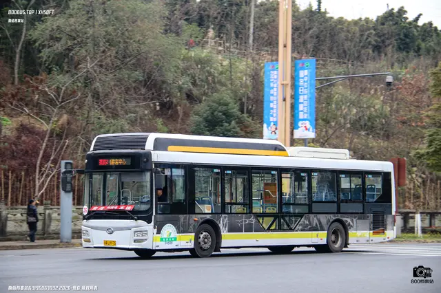 800BUS
