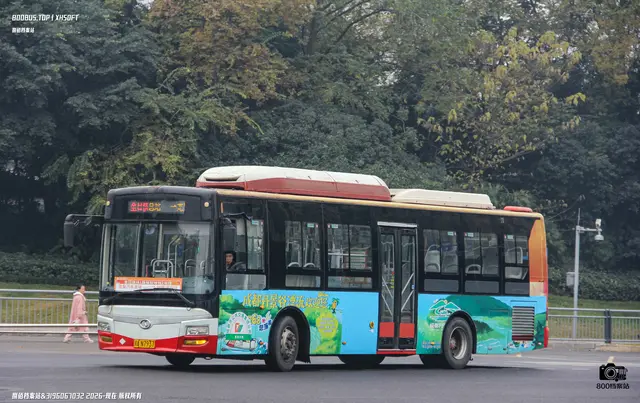 800BUS