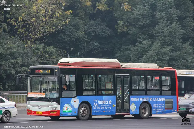 800BUS