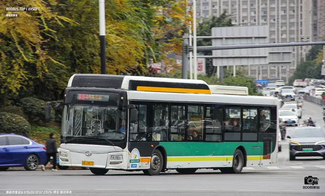 800BUS