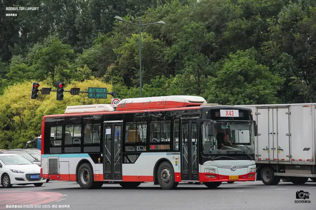 800BUS
