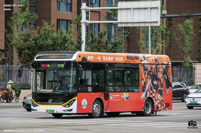800BUS