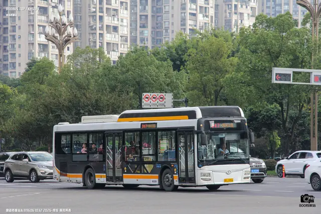800BUS
