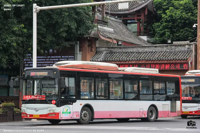 800BUS