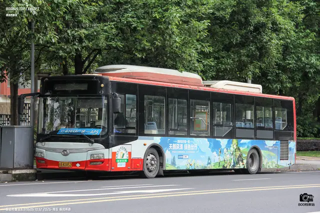 800BUS