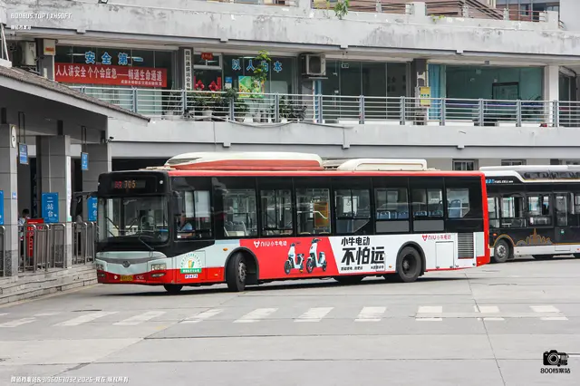 800BUS