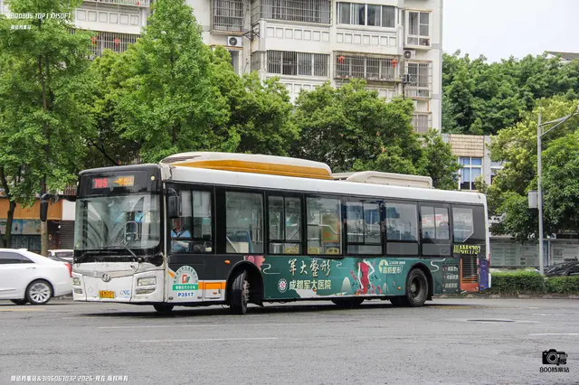 800BUS