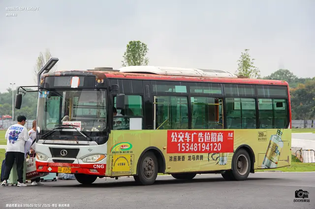 800BUS