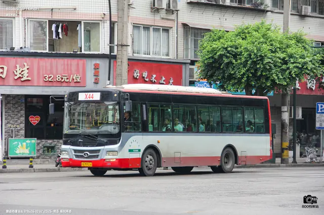 800BUS