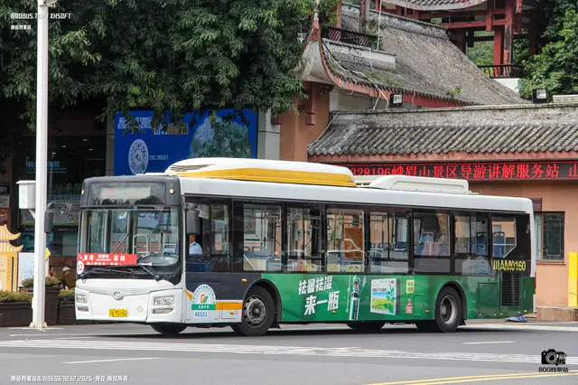 800BUS