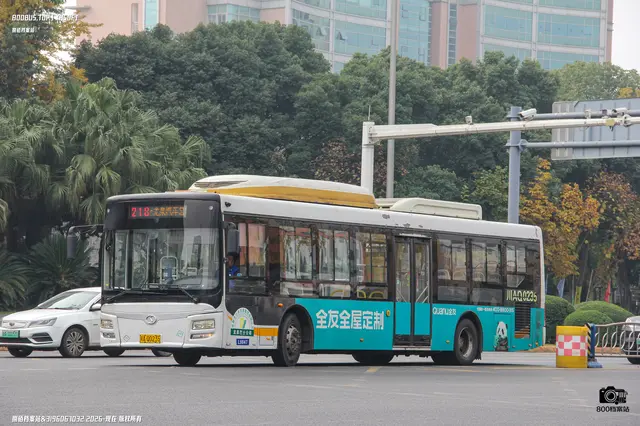 800BUS
