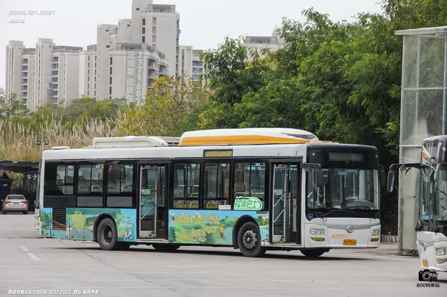 800BUS