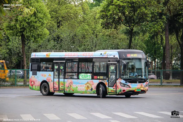 800BUS