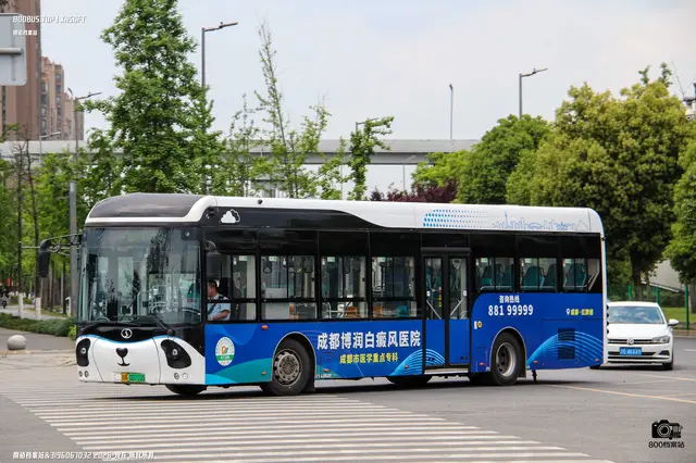 800BUS