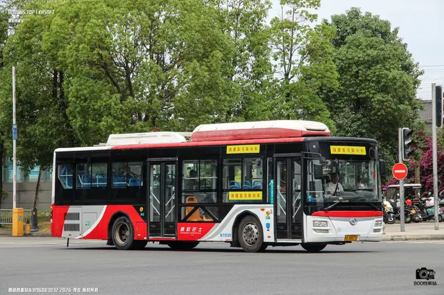 800BUS
