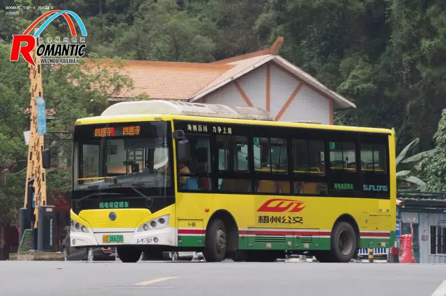800BUS