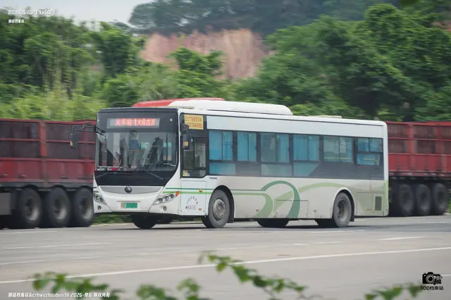 800BUS