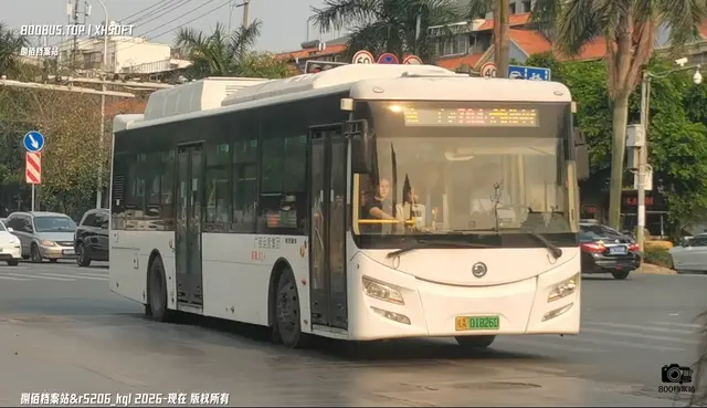 800BUS