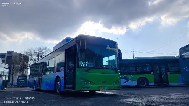 800BUS