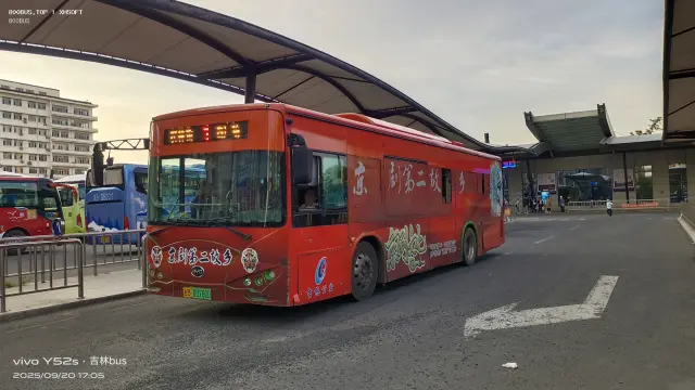 800BUS