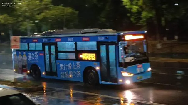 800BUS