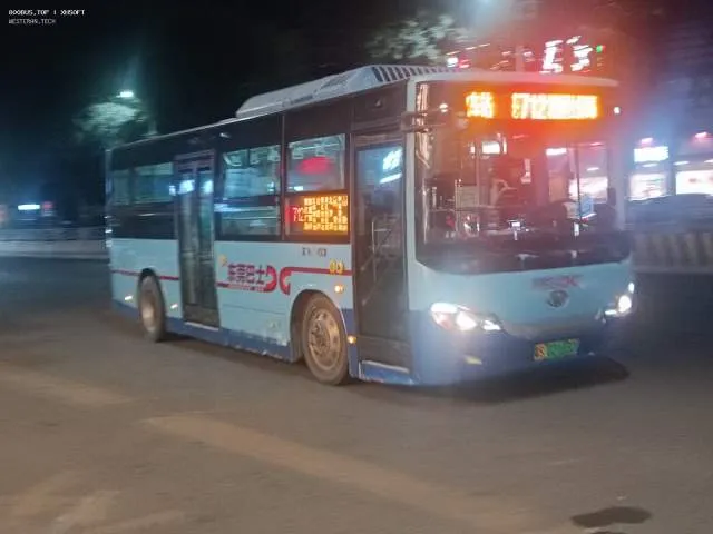 800BUS