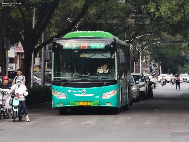 800BUS