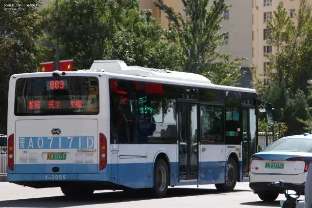 800BUS