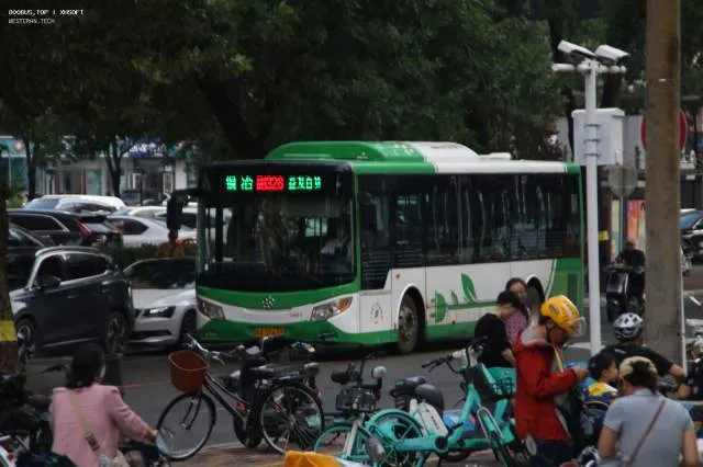 800BUS