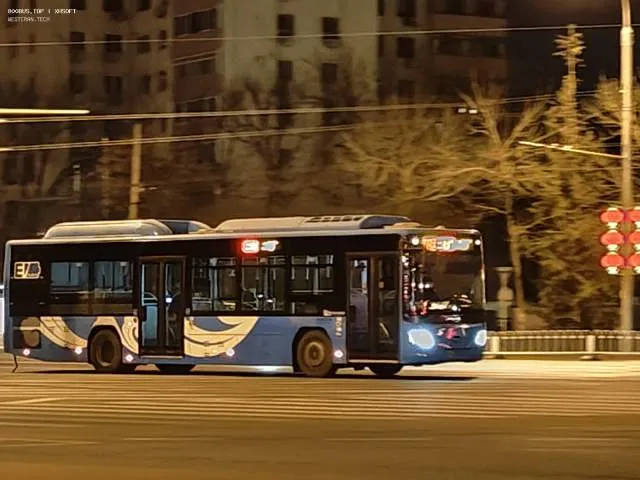 800BUS