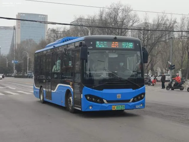800BUS
