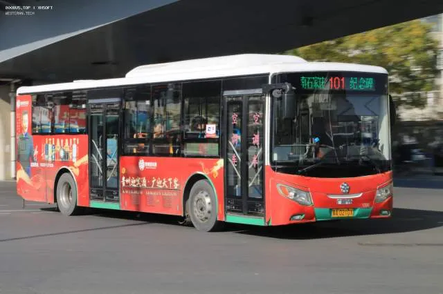 800BUS