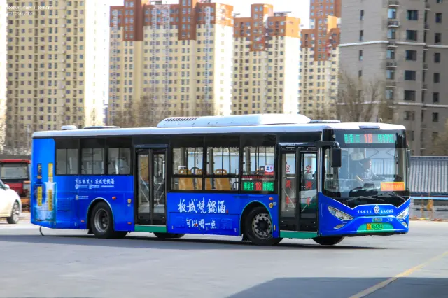 800BUS