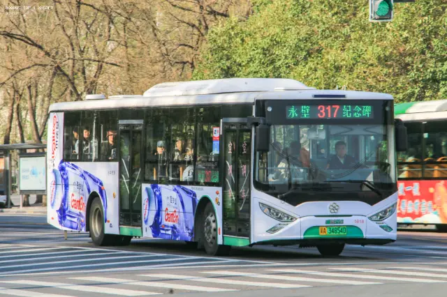 800BUS