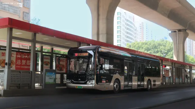 800BUS