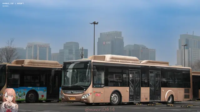 800BUS