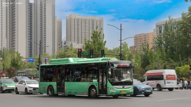 800BUS