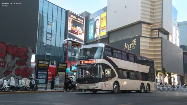 800BUS