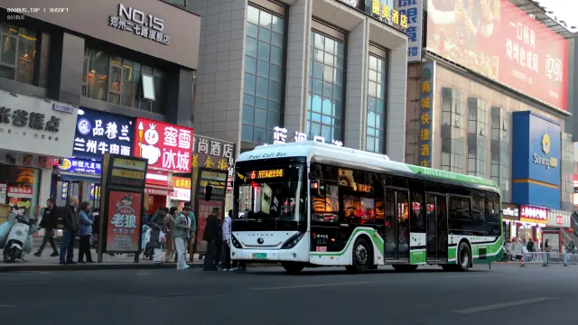 800BUS