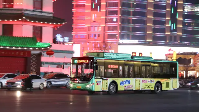 800BUS