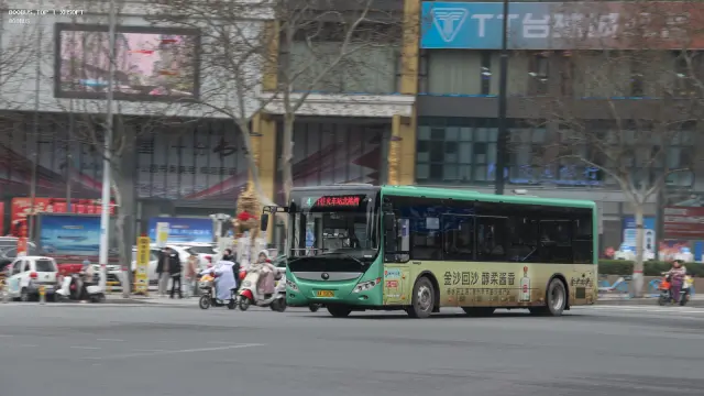 800BUS