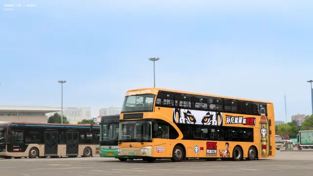 800BUS