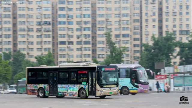 800BUS