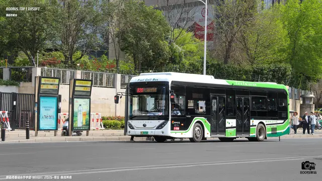 800BUS