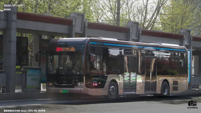 800BUS