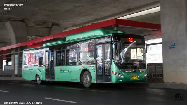 800BUS